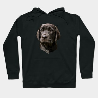 Labrador Retriever Black Puppy Dog Hoodie